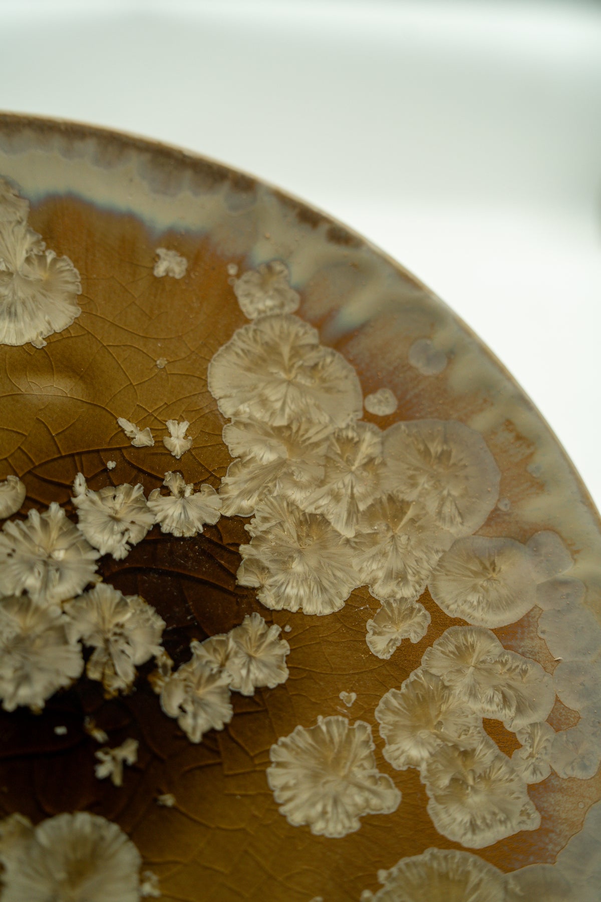 Close detail of ivory crystal blooms across amber glaze