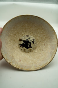 Frosted Earth one-of-one crystalline bowl by Arnis Preiss